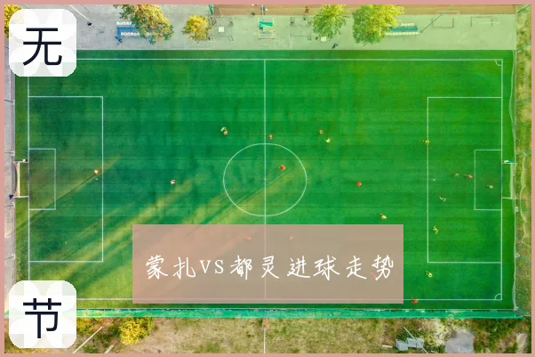 蒙扎vs都灵进球走势