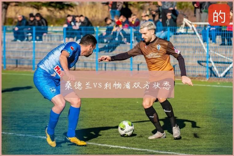 桑德兰vs利物浦双方状态